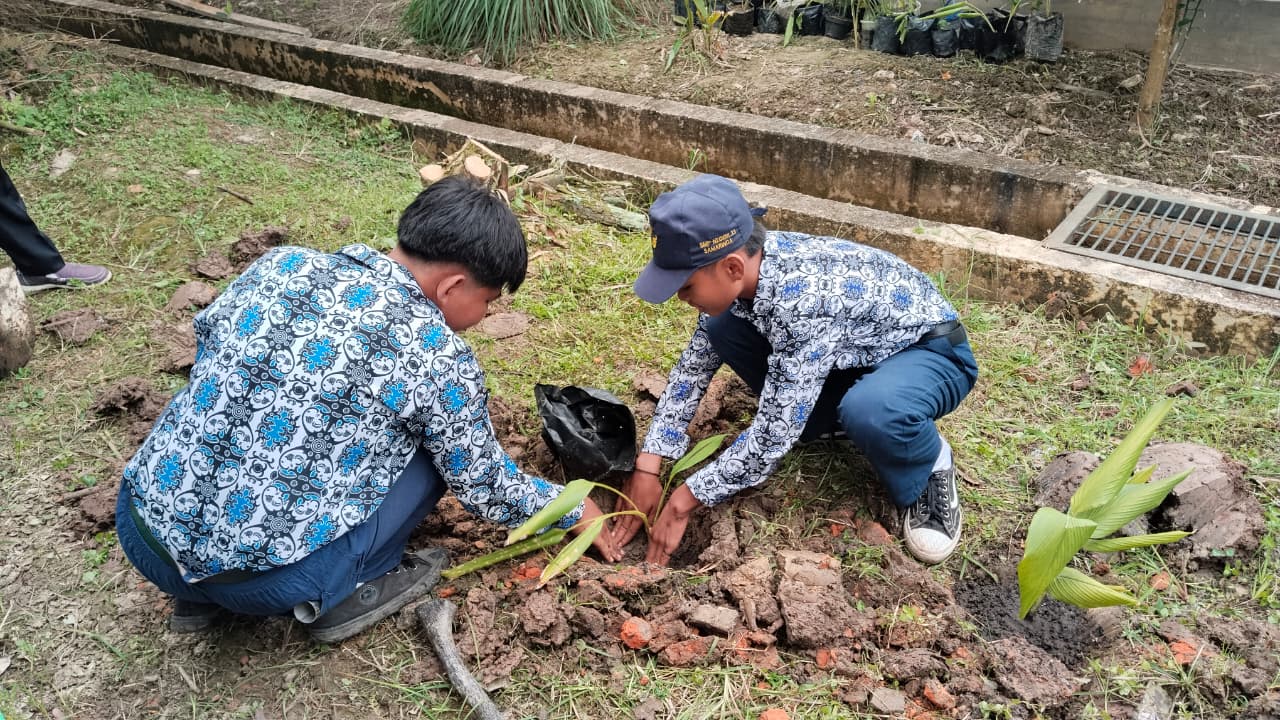 Menanam tanaman obat di lahan sekolah